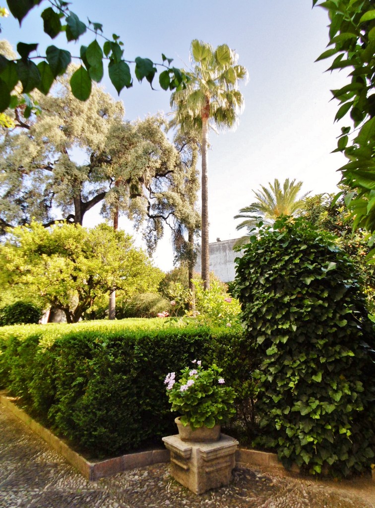 Foto: Palacio de Viana - Córdoba (Andalucía), España