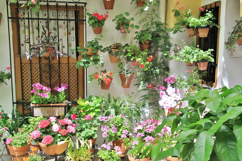 Foto: Concurso de patios 2015 - Córdoba (Andalucía), España