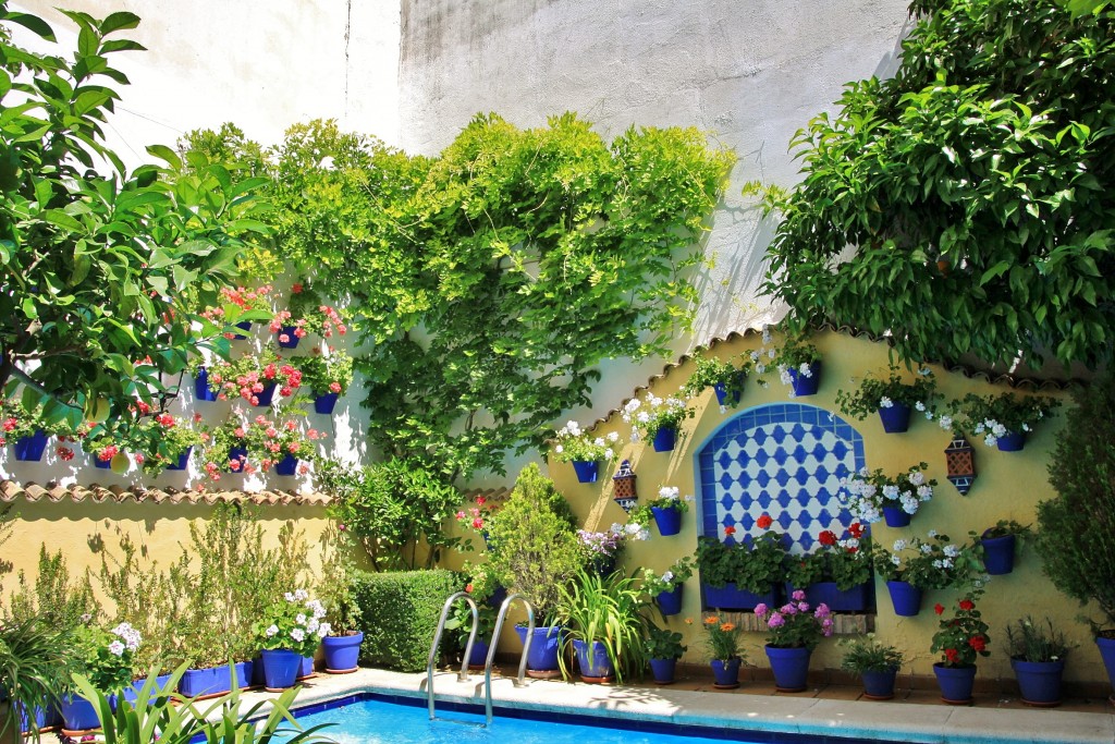 Foto: Concurso de patios 2015 - Córdoba (Andalucía), España