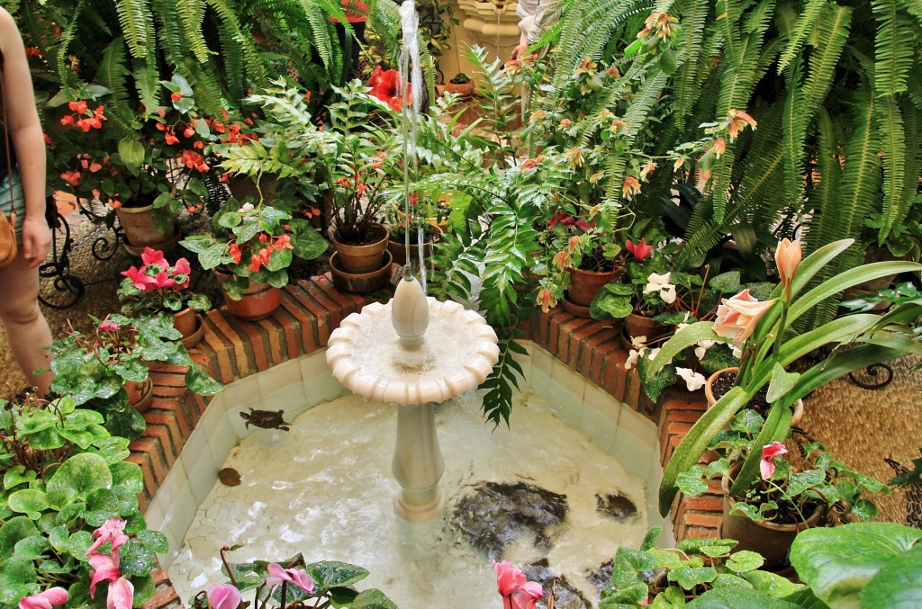 Foto: Concurso de patios 2015 - Córdoba (Andalucía), España