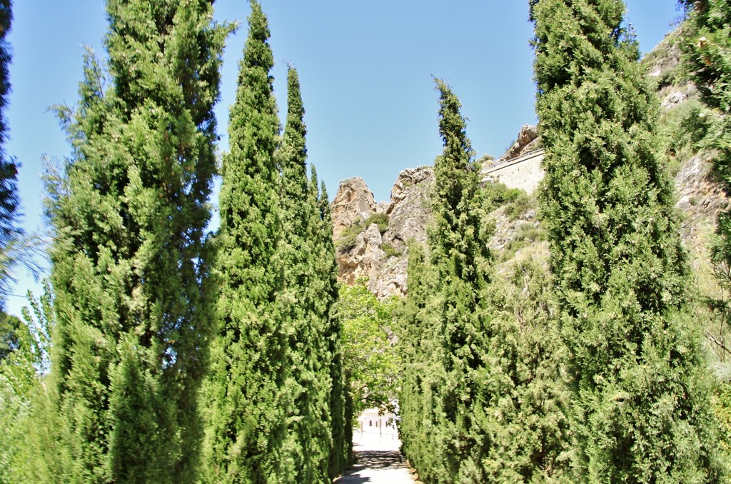 Foto: Paseo - Almedinilla (Córdoba), España