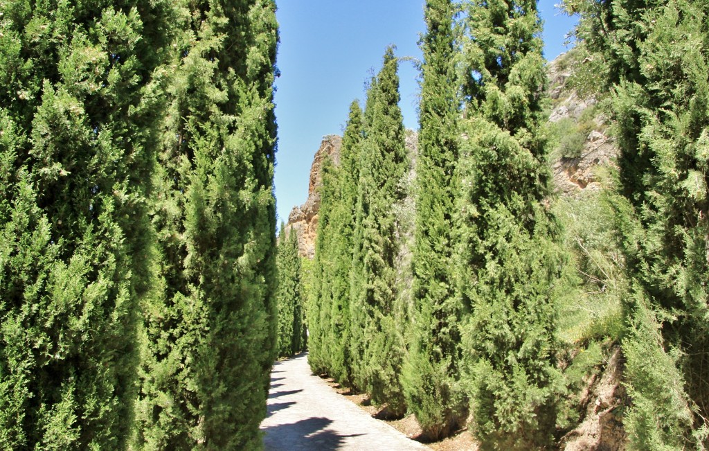 Foto: Paseo - Almedinilla (Córdoba), España