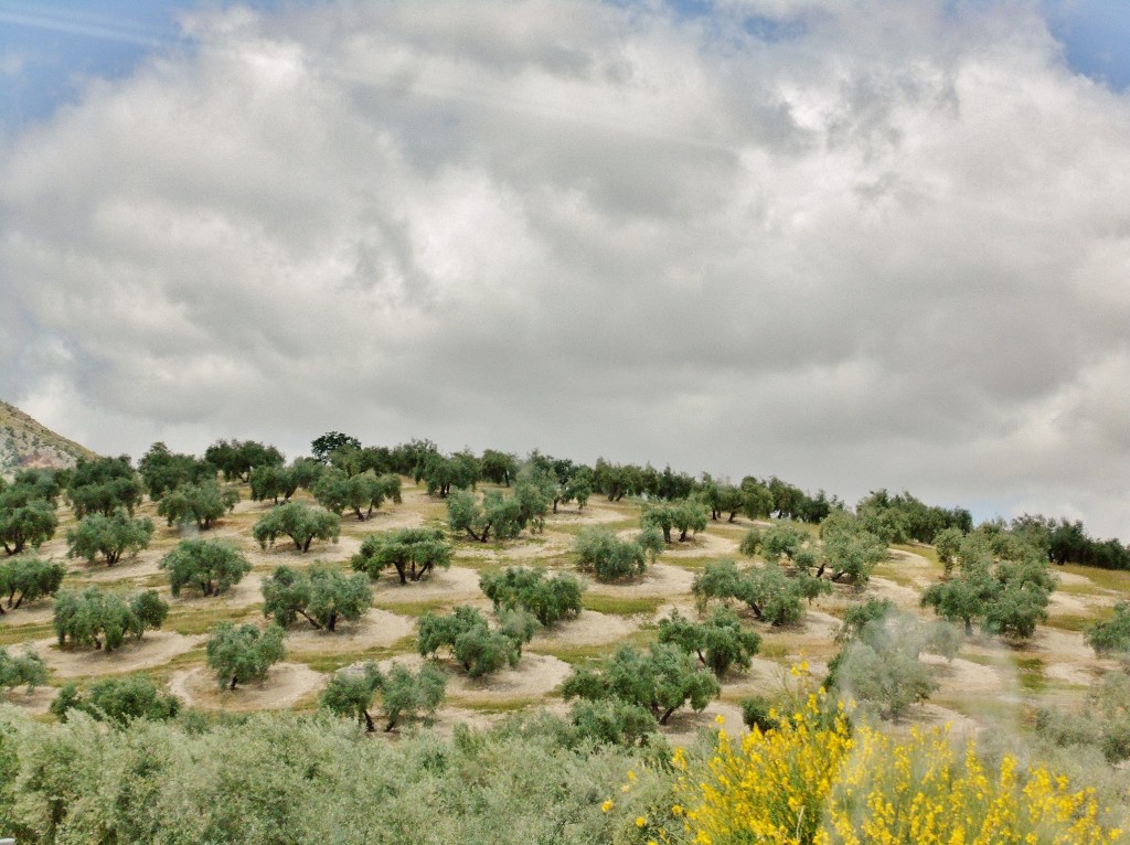 Foto: Paisaje - Zuheros (Córdoba), España