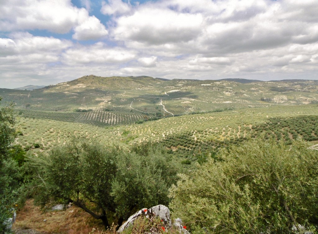Foto: Paisaje - Zuheros (Córdoba), España