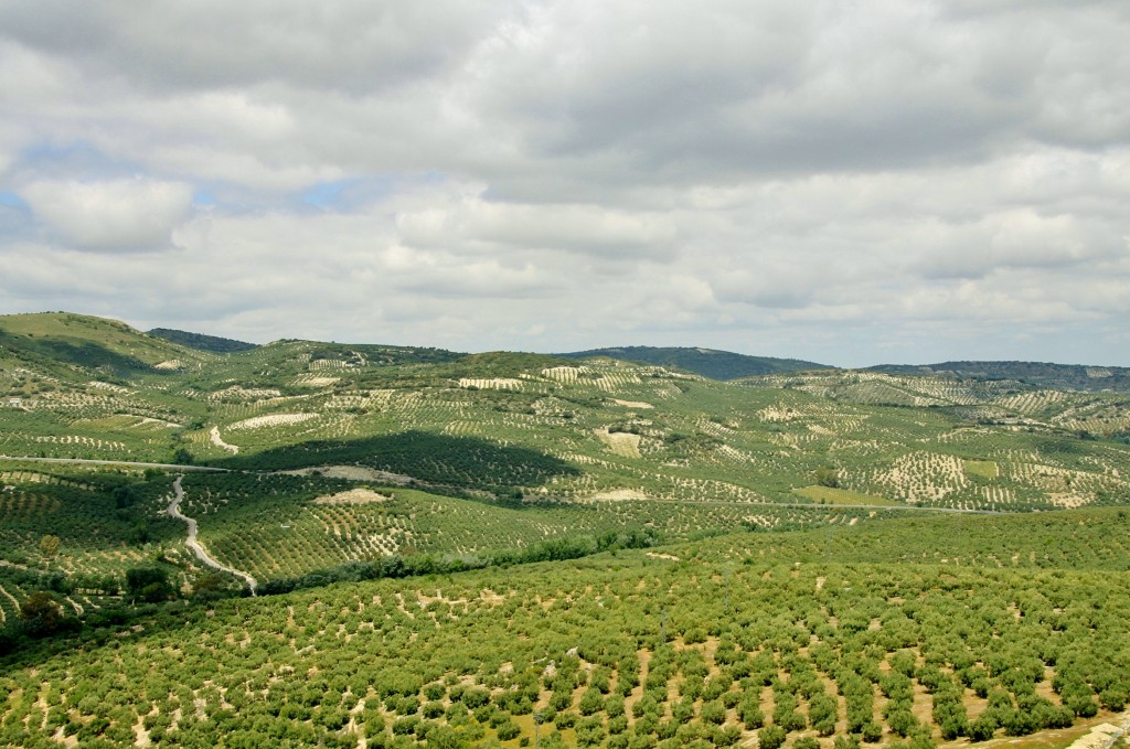 Foto: Paisaje - Zuheros (Córdoba), España