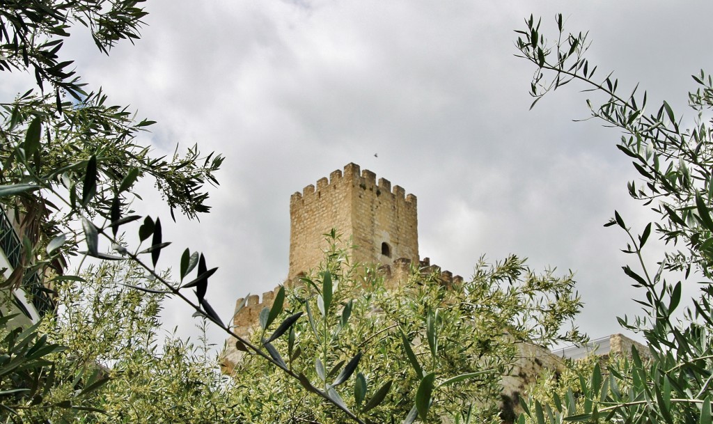 Foto: Castillo - Zuheros (Córdoba), España