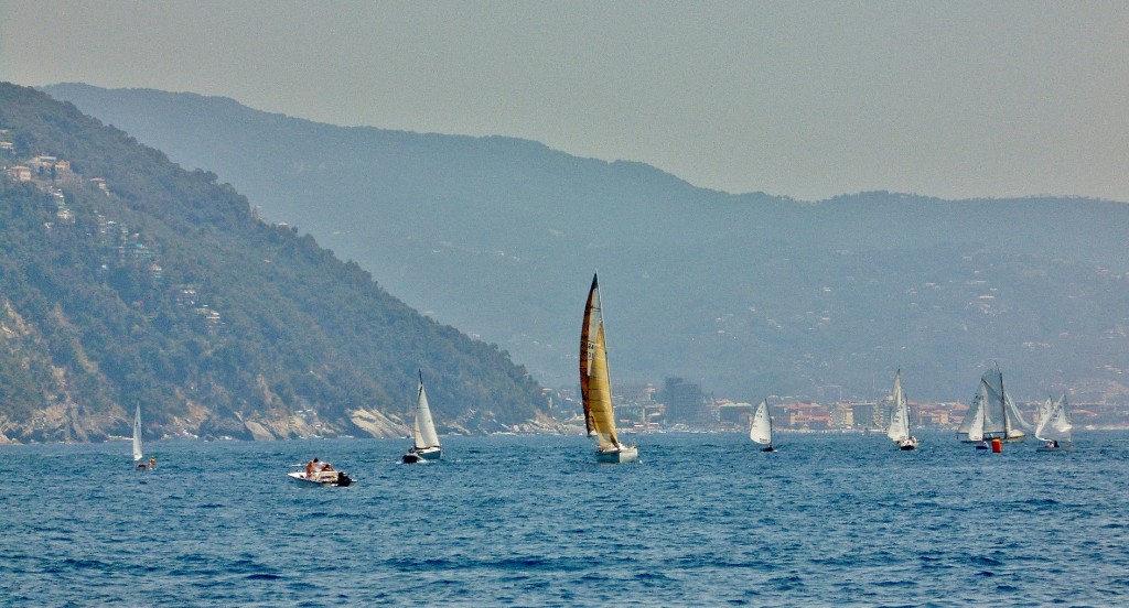 Foto: Navegando - Santa Margherita Ligure (Liguria), Italia