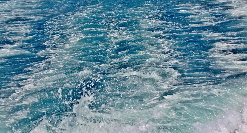 Foto: Navegando - Santa Margherita Ligure (Liguria), Italia