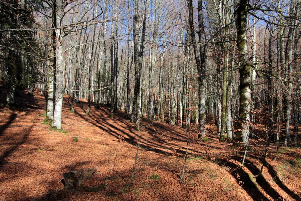 Foto de Ochagavía (Navarra), España