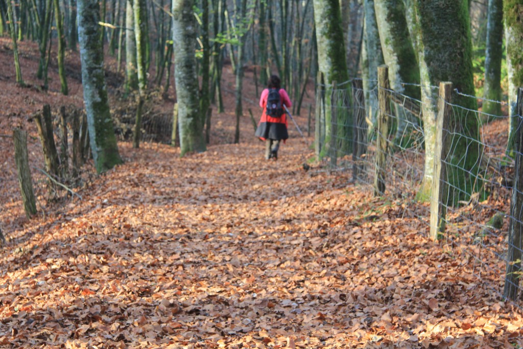 Foto de Ochagavía (Navarra), España