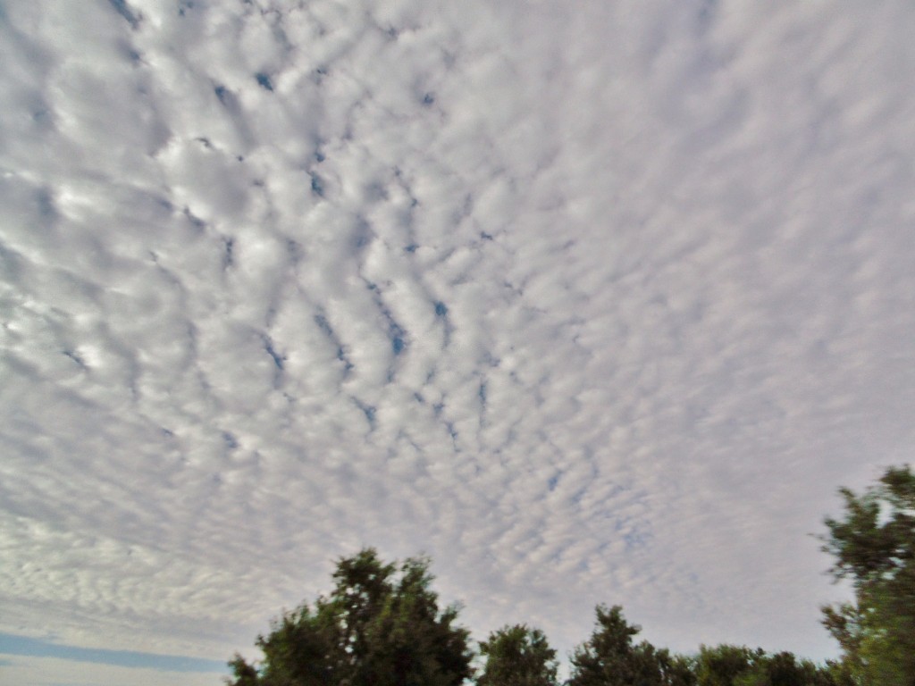 Foto: Paisaje de nubes - Santaella (Córdoba), España