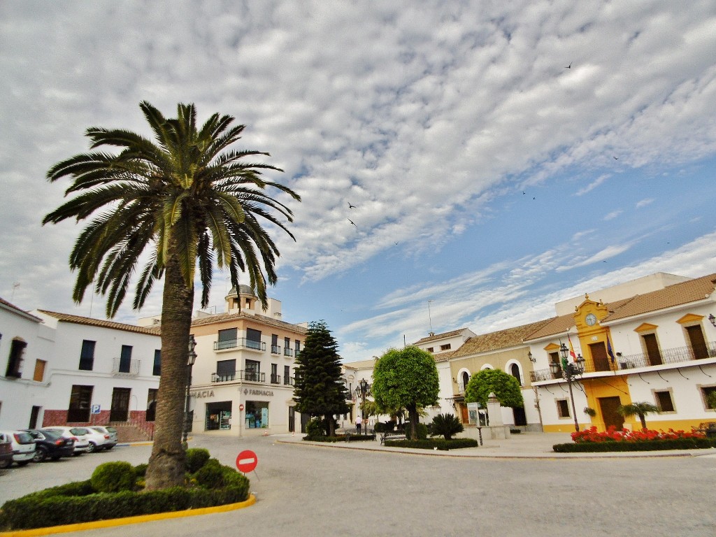 Foto: Vista del pueblo - Santaella (Córdoba), España