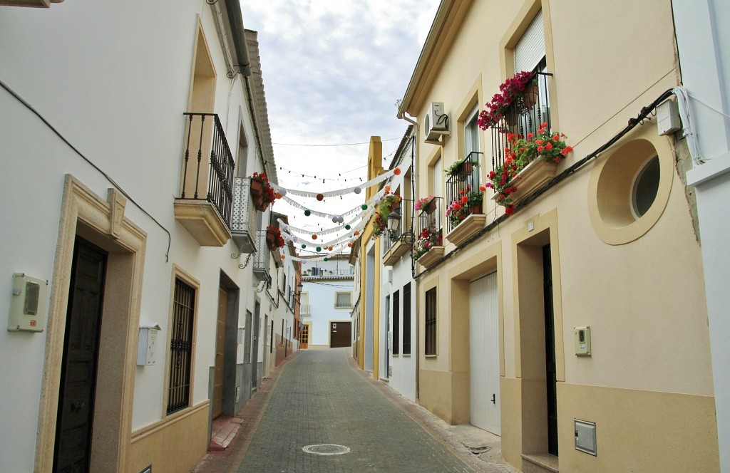 Foto: Vista del pueblo - Santaella (Córdoba), España