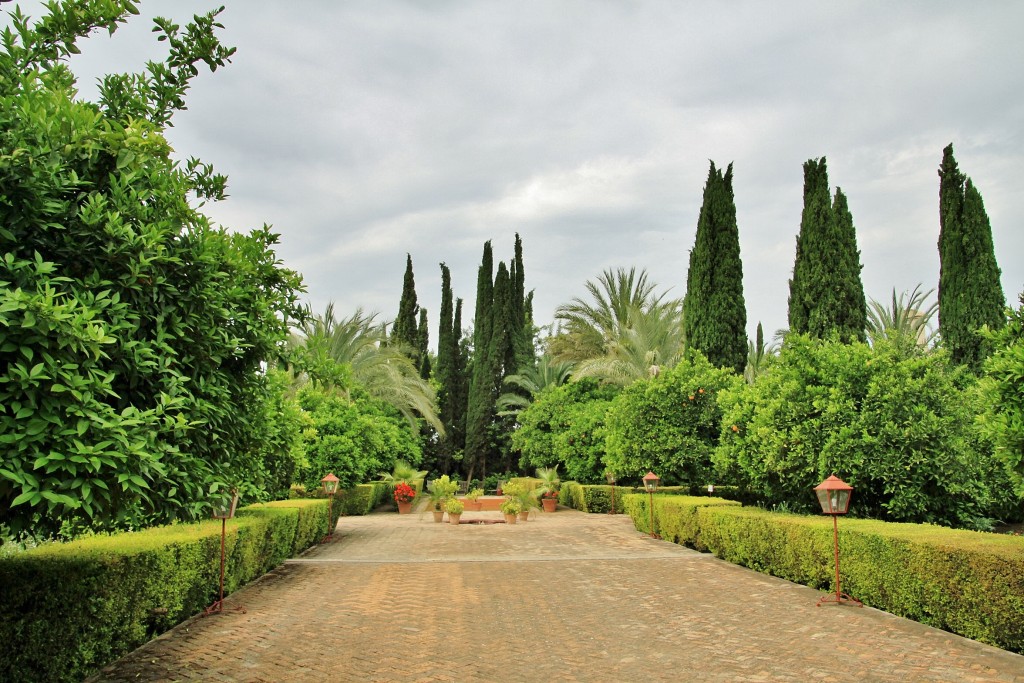 Foto: Palacio de los Portocarrero - Palma del Río (Córdoba), España