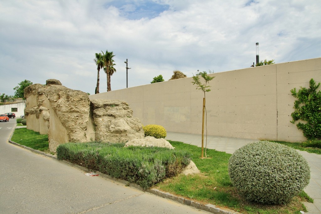 Foto: Murallas - Palma del Río (Córdoba), España