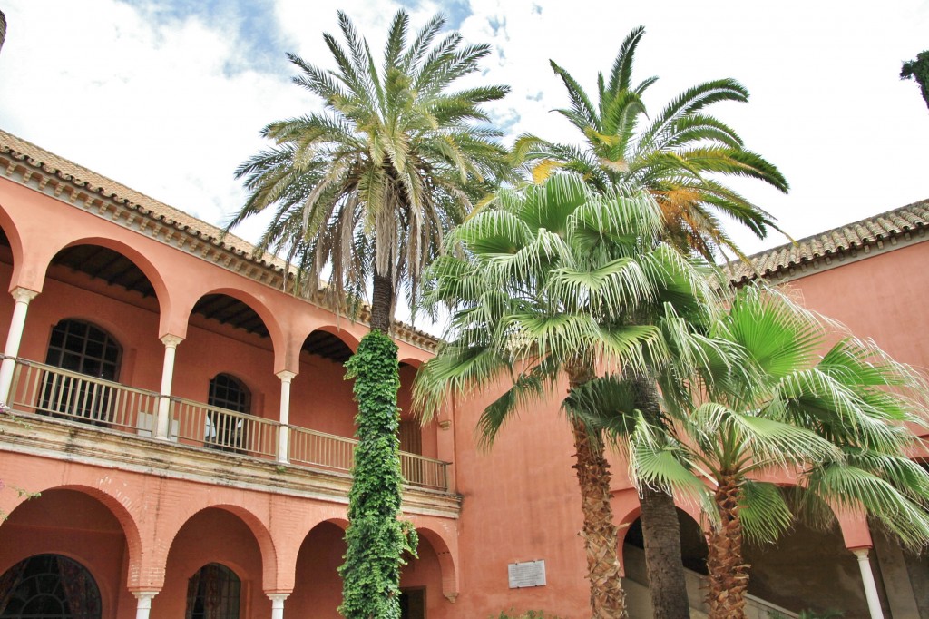 Foto: Palacio de los Portocarrero - Palma del Río (Córdoba), España