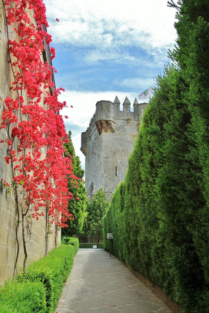 Foto: Castillo - Almodovar del Río (Córdoba), España