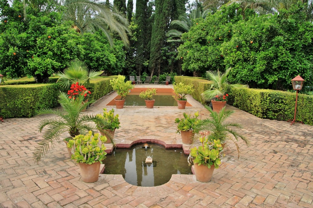 Foto: Palacio de los Portocarero - Palma del Río (Córdoba), España