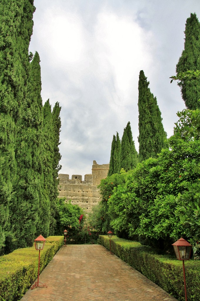 Foto: Palacio de los Portocarrero - Palma del Río (Córdoba), España