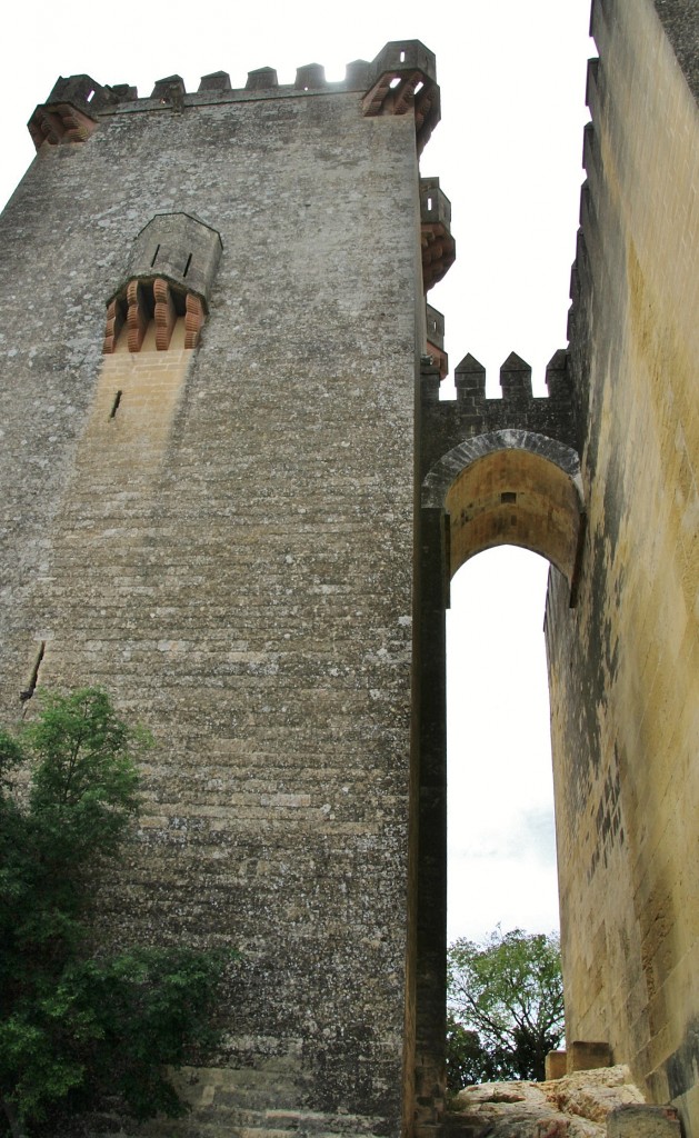 Foto: Castillo - Almodovar del Río (Córdoba), España