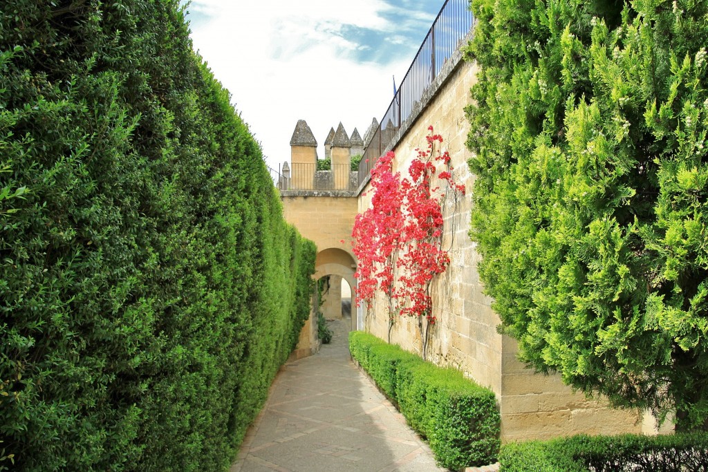 Foto: Castillo - Almodovar del Río (Córdoba), España