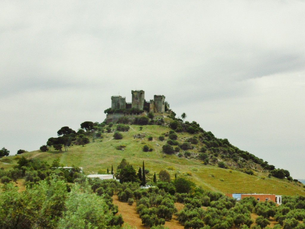 Foto: Castillo - Almodovar del Río (Córdoba), España