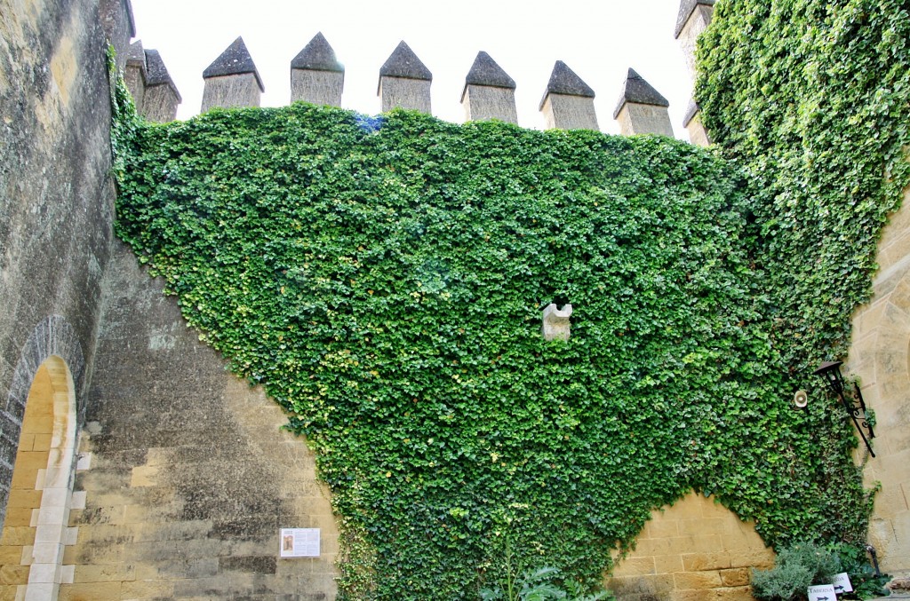 Foto: Castillo - Almodovar del Río (Córdoba), España