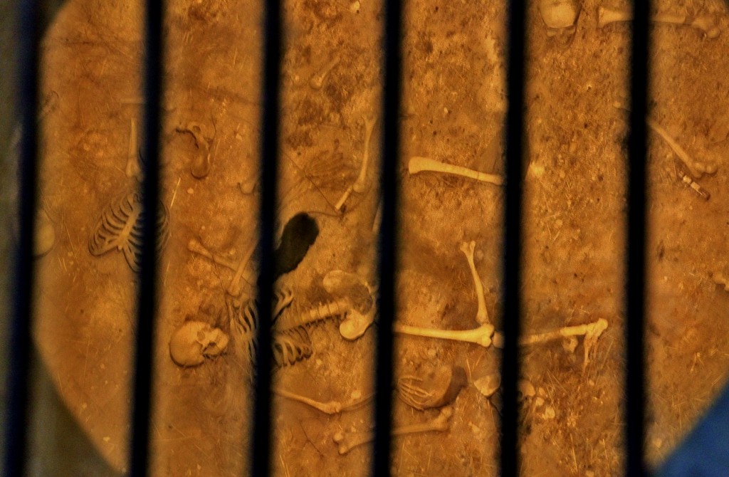 Foto: Castillo - Almodovar del Río (Córdoba), España