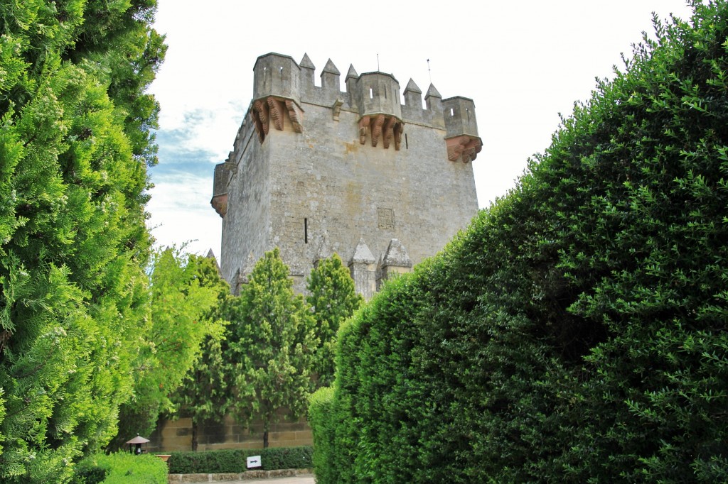 Foto: Castillo - Almodovar del Río (Córdoba), España