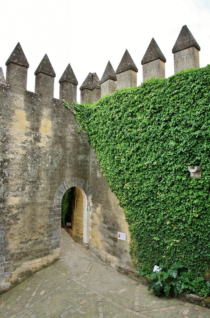 Foto: Castillo - Almodóvar del Río (Córdoba), España