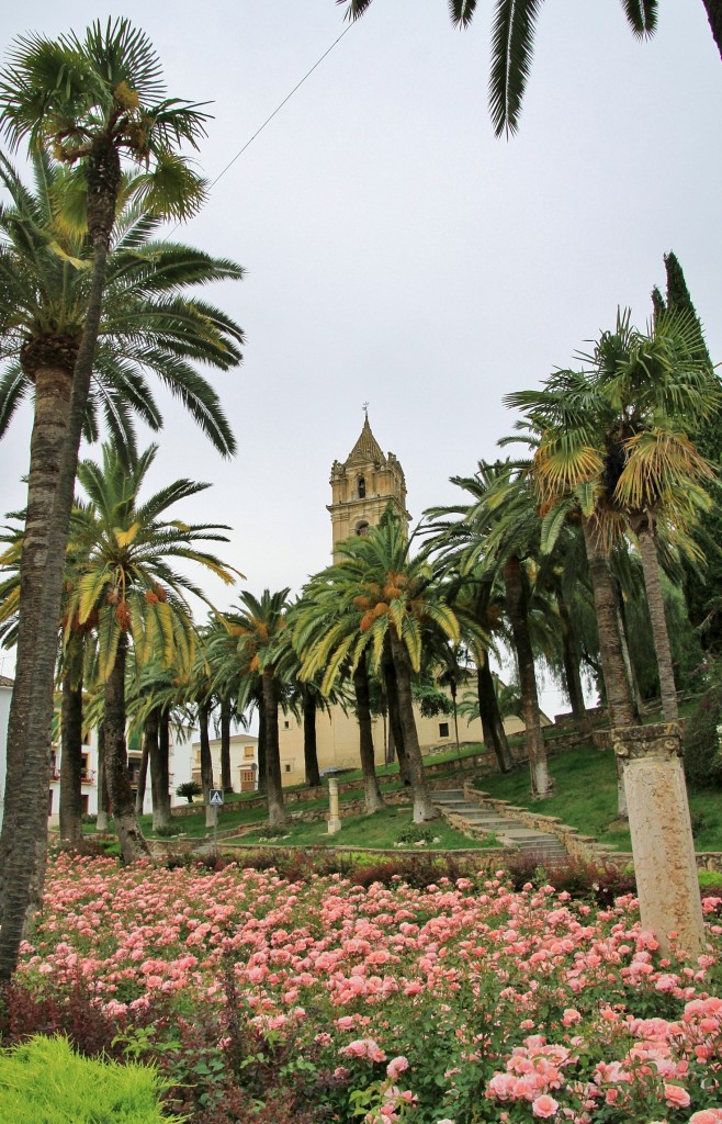 Foto: Centro histórico - Cabra (Córdoba), España