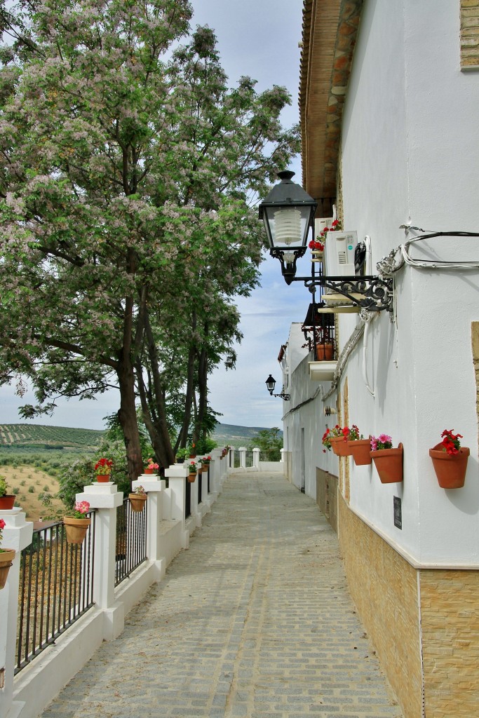 Foto: Centro histórico - Cabra (Córdoba), España