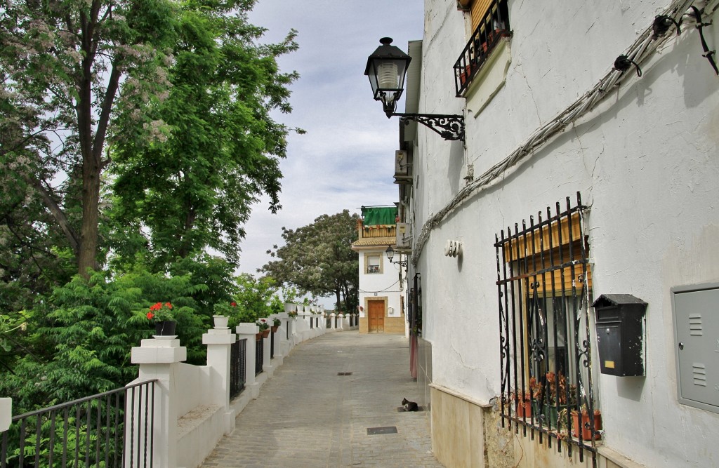 Foto: Centro histórico - Cabra (Córdoba), España