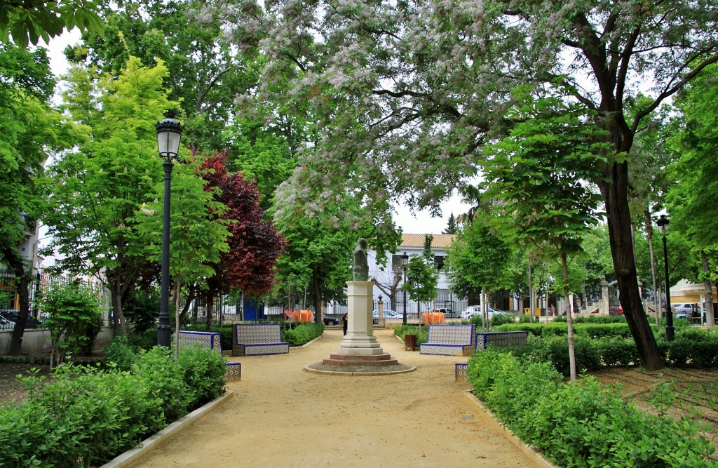 Foto: Paseo Alcántara Romero - Cabra (Córdoba), España