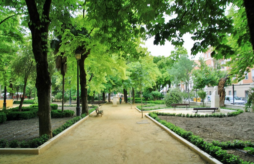 Foto: Paseo Alcántara Romero - Cabra (Córdoba), España