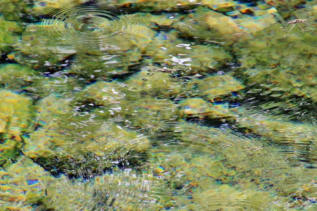 Foto: Fuente del Río - Cabra (Córdoba), España