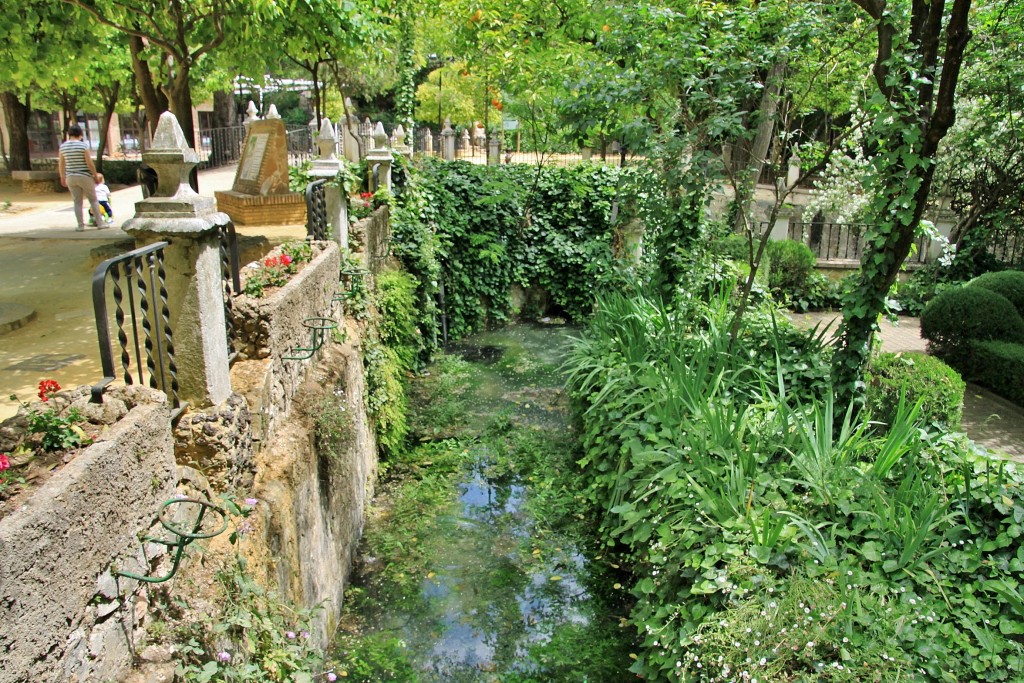 Foto: Fuente del Río - Cabra (Córdoba), España