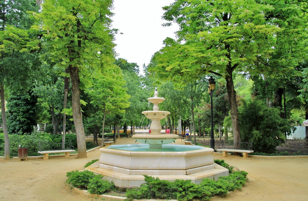 Foto: Paseo Alcántara Romero - Cabra (Córdoba), España