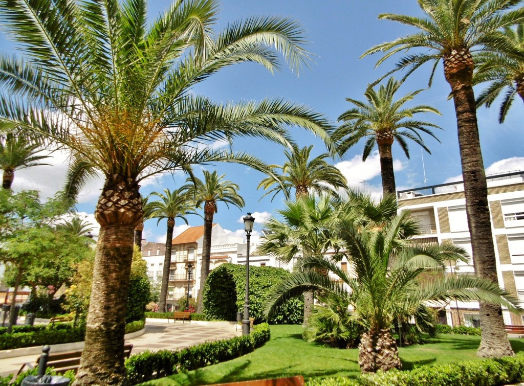 Foto: Vista del pueblo - Aguilar de la Frontera (Córdoba), España