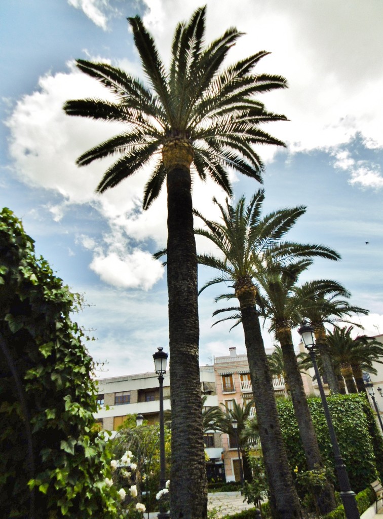 Foto: Vista del pueblo - Aguilar de la Frontera (Córdoba), España