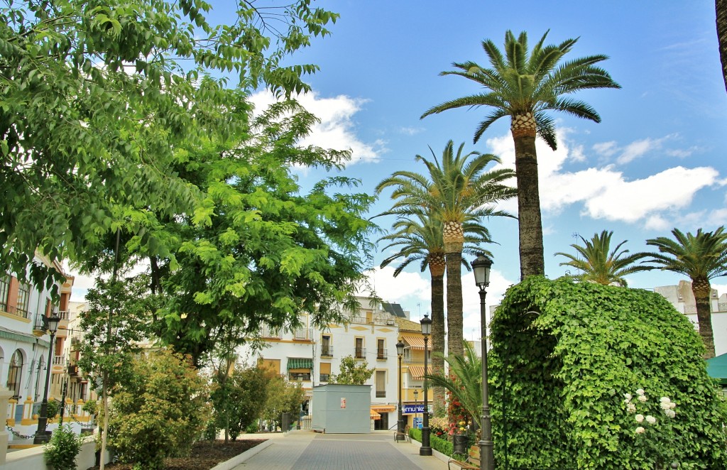 Foto: Vista del pueblo - Aguilar de la Frontera (Córdoba), España