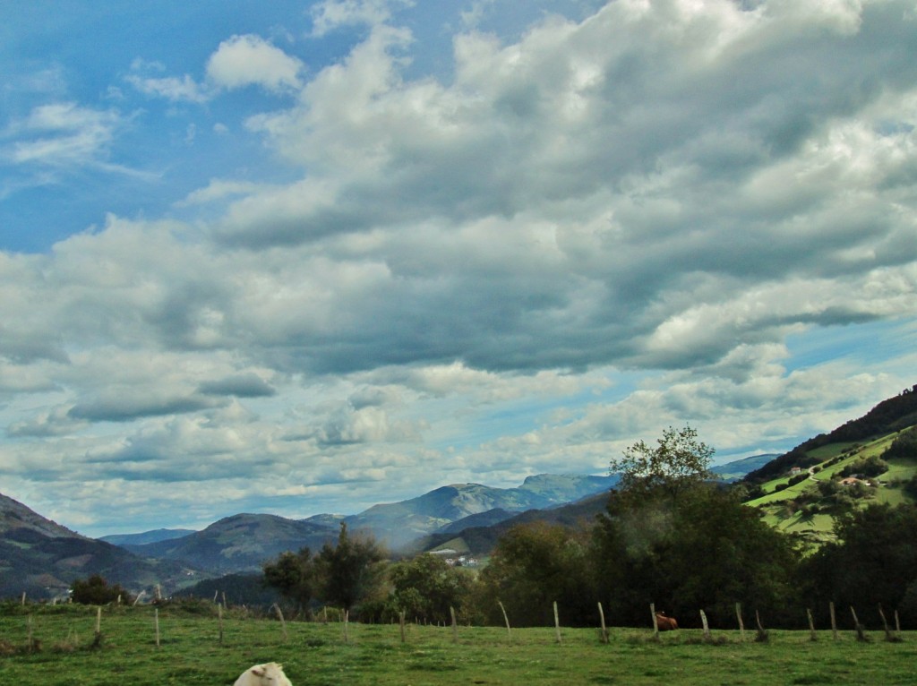Foto: Paisaje - Bergara (Vergara) (Gipuzkoa), España