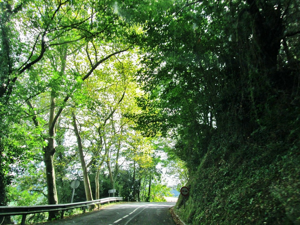 Foto: Paisaje - Bergara (Vergara) (Gipuzkoa), España