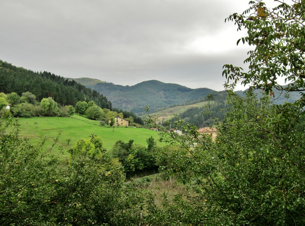 Foto: Paisaje - Zerain (Gipuzkoa), España