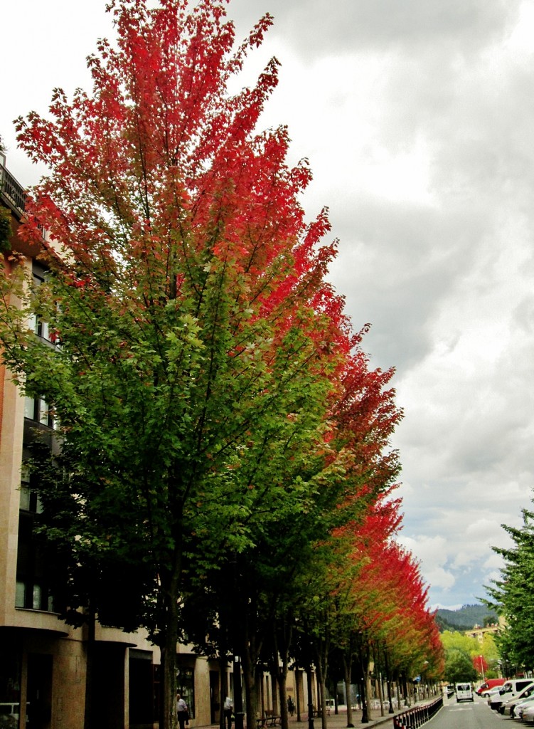 Foto: Centro histórico - Beasain (Gipuzkoa), España