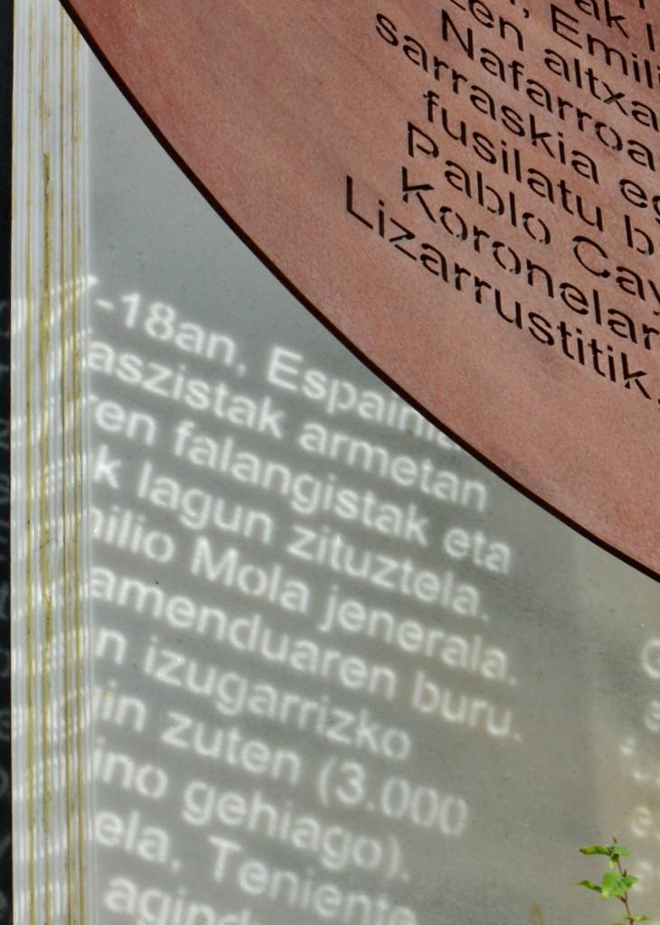 Foto: Libro - Beasain (Gipuzkoa), España