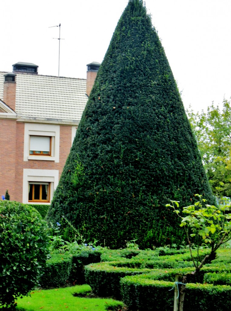 Foto: Vista de la ciudad - Vitoria (Gasteiz) (Álava), España