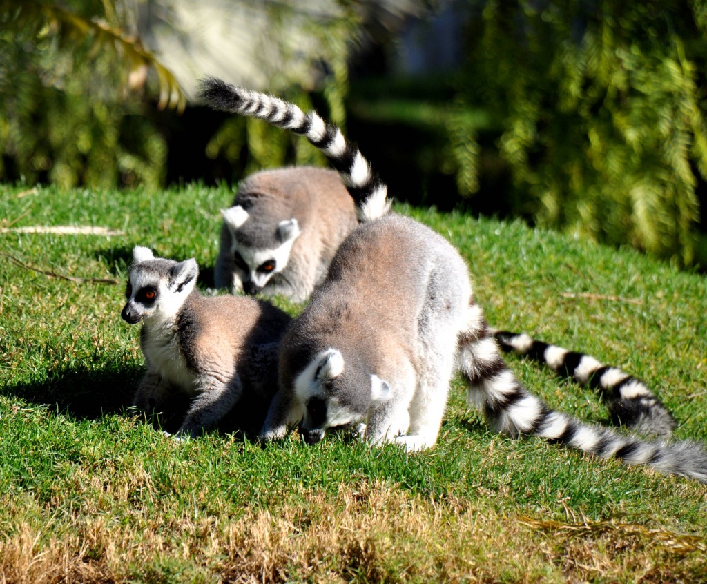Foto de Valencia (València), España