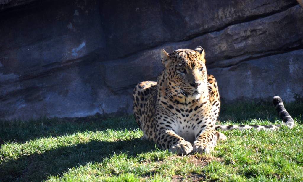 Foto de Valencia (València), España
