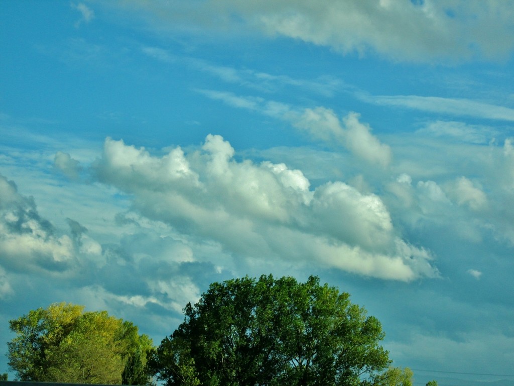 Foto: Paisaje - Artziniega (Álava), España